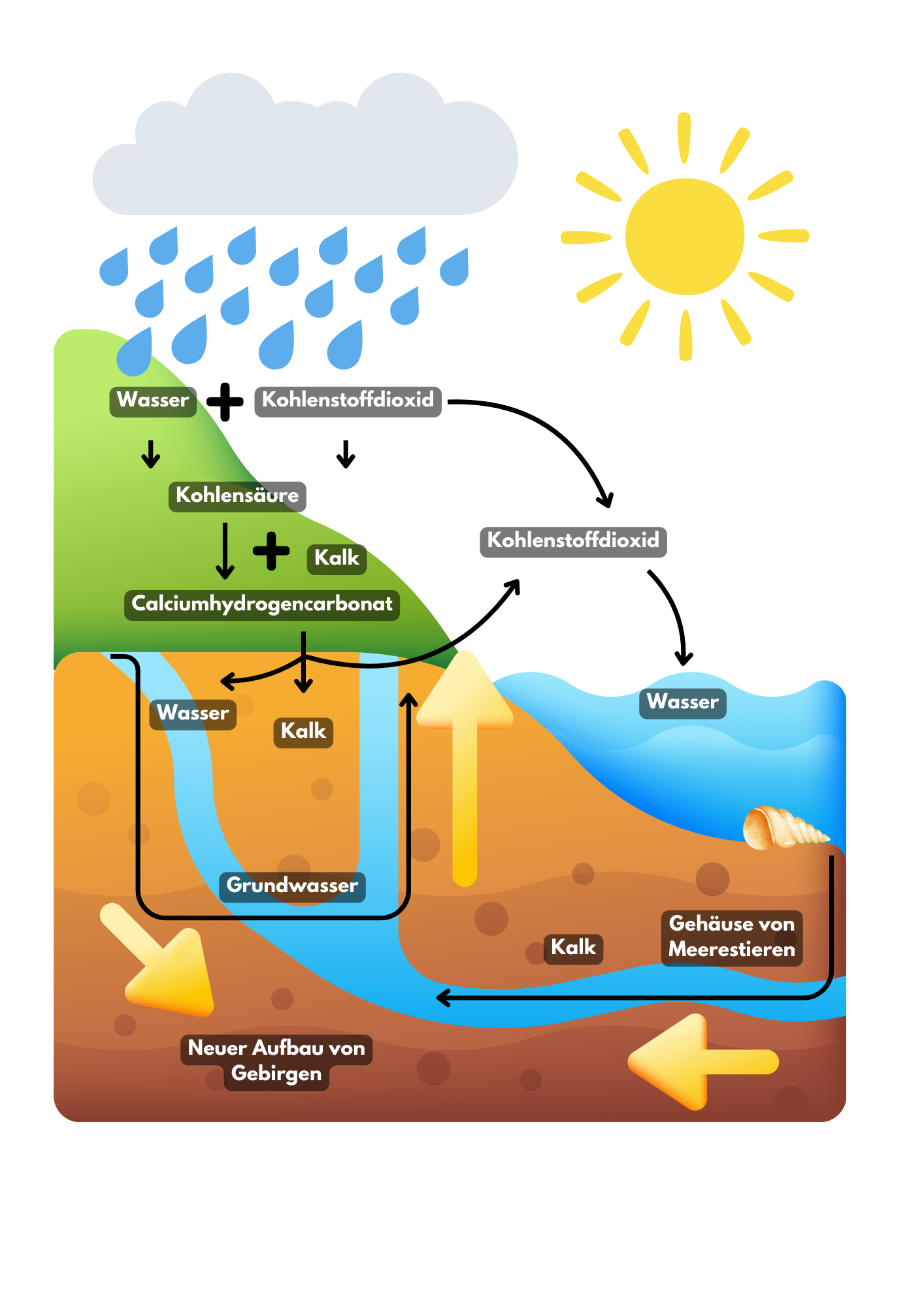 Diagramm des Kalk-Wasserkreislaufs: von Regenwasser über Kohlensäure und Calciumhydrogencarbonat bis zum Kalk